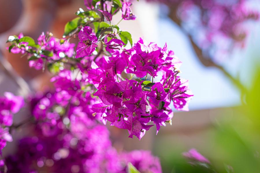 Siège Social South Face