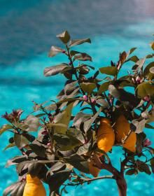 Siège Social South Face