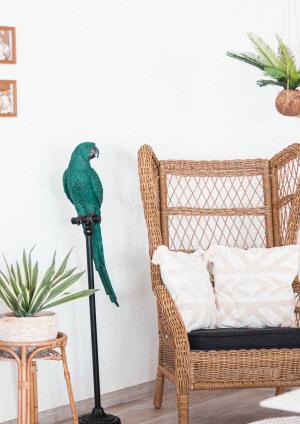 Siège Social South Face