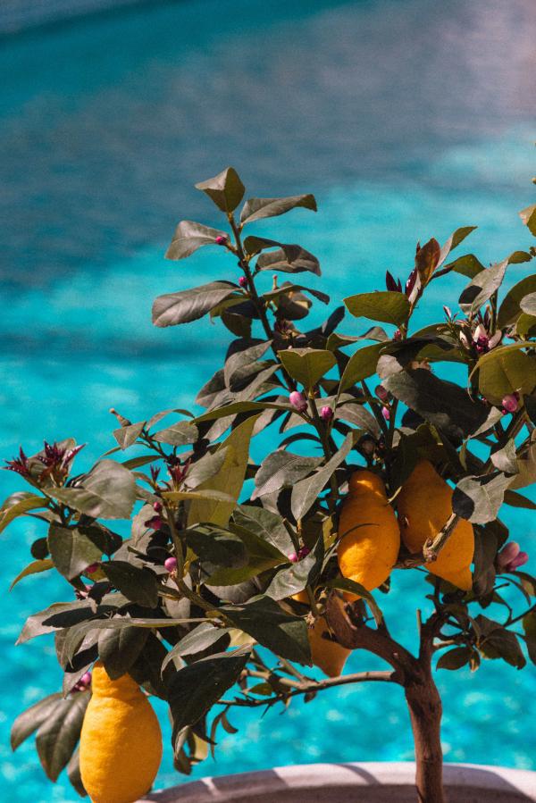 Siège Social South Face