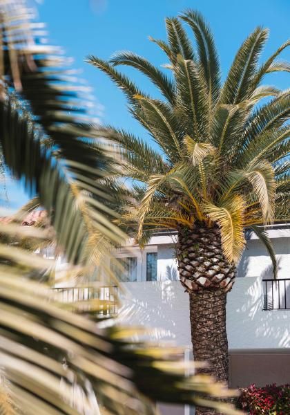 La Villa Hôtels - Our gardens and green areas